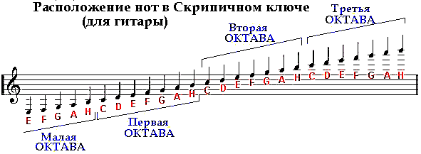 Фото Всех Нот