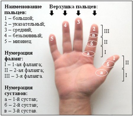 Уроки гитары - Положение рук на гитаре: правая рука - Урок 4