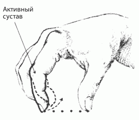 Уроки гитары – Способы звукоизвлечения: Тирандо – Урок 8